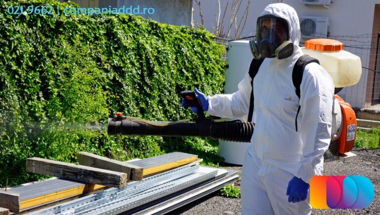 Cum să alegi serviciul de dezinfecție potrivit?