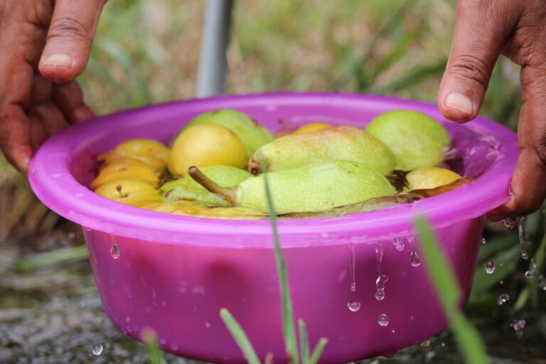 Rolul antioxidantilor în prevenirea îmbătrânirii premature