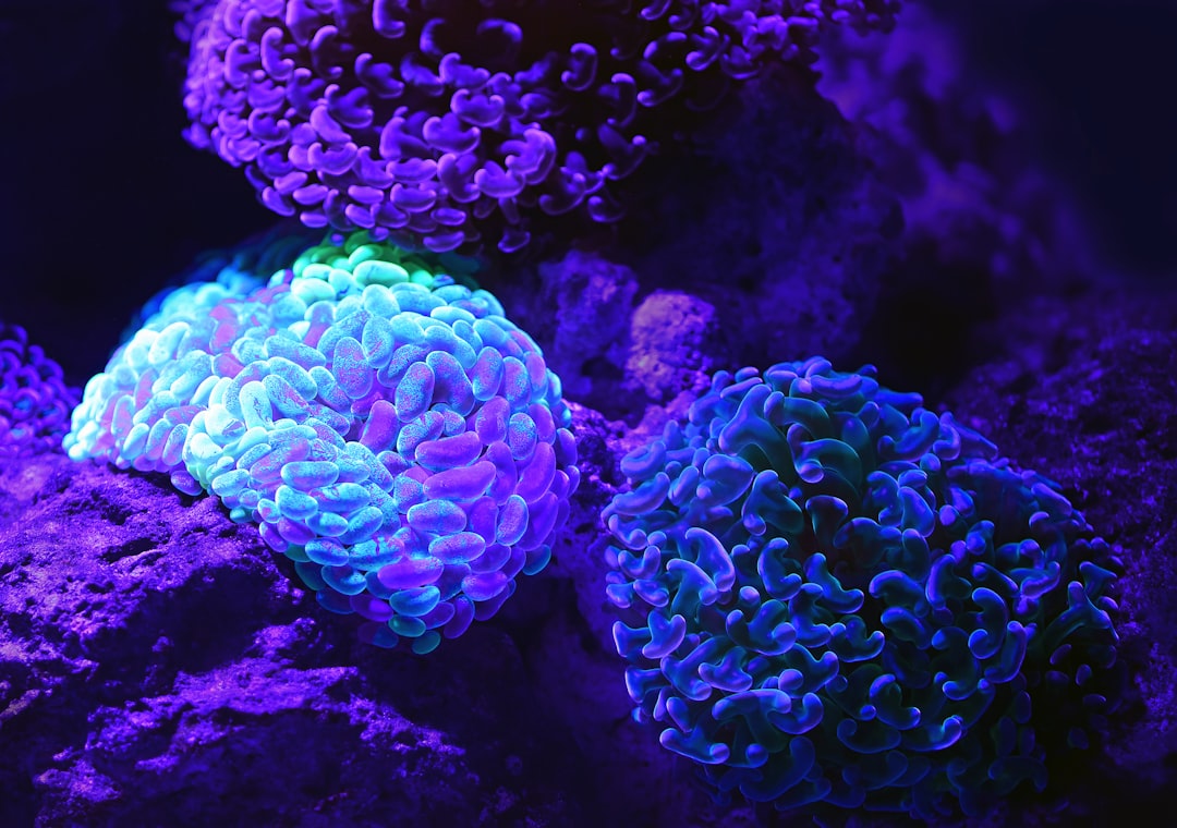 Photo Pancreatic Cancer Symptoms