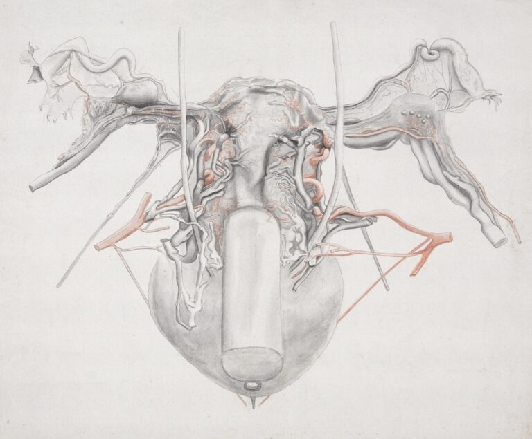 Hipotiroidismul – Simptome La Femei