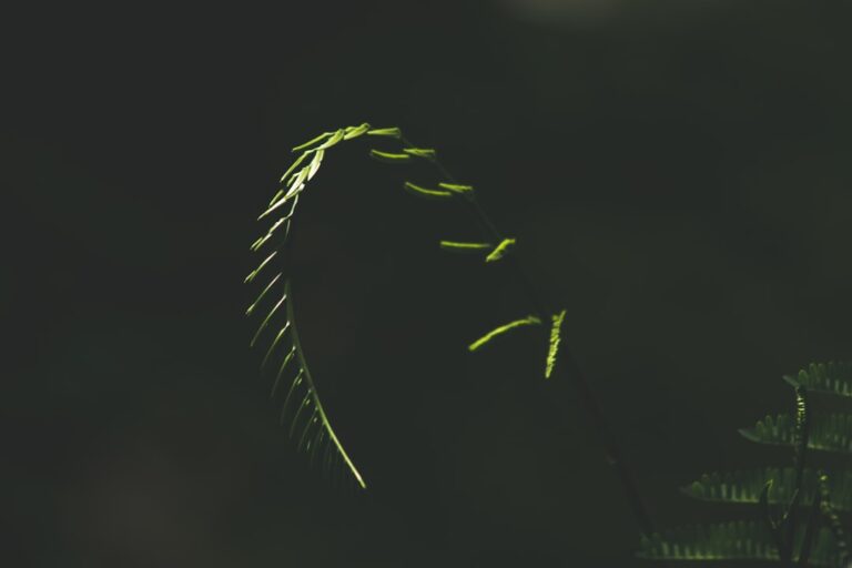 Noduli La Sân – Când Să Te Îngrijorezi