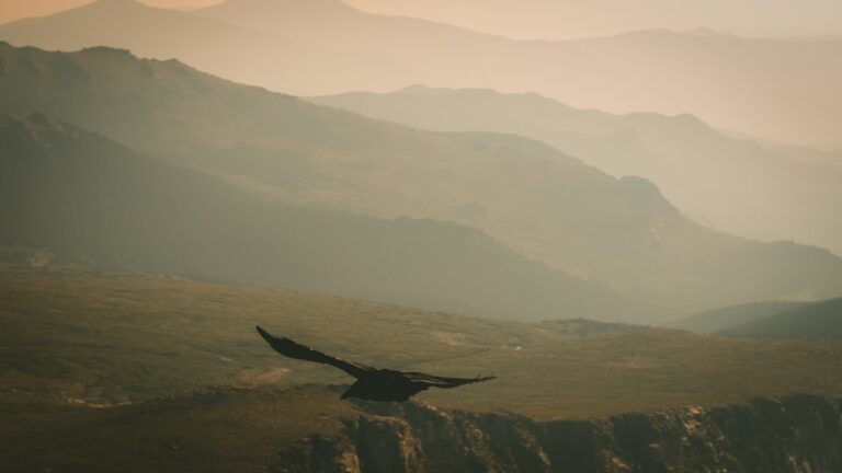 Boli ORL frecvente: simptome și tratamente eficiente