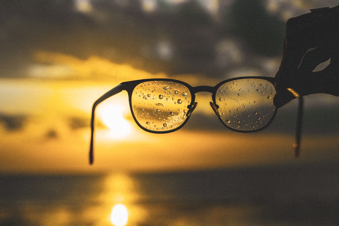 Photo protect vision