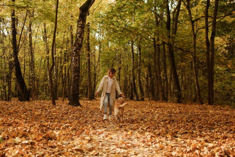 Plimbarea zilnică, un obicei simplu care îți dă energie