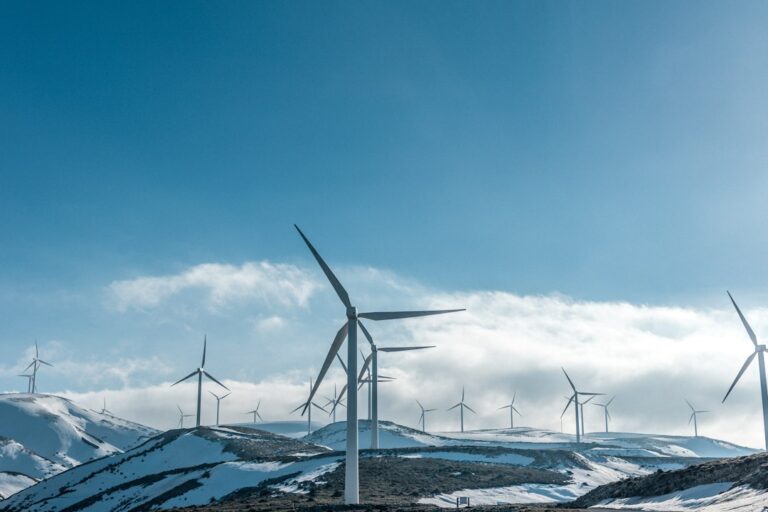Ghid despre gestionarea energiei pe parcursul săptămânii