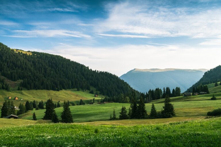 Cum poți construi o rutină zilnică echilibrată și sustenabilă